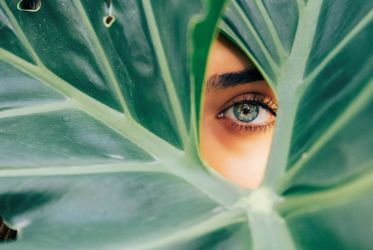 A single eye visible through a narrow gap in large green leaves, the rest of the face hidden, as if only a fragment of her can be seen at once.